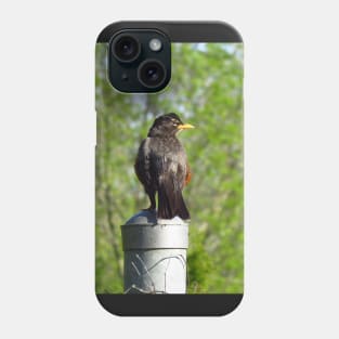 American Robin Perched On A Fence Post Phone Case