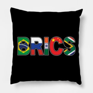 BRICS Pillow