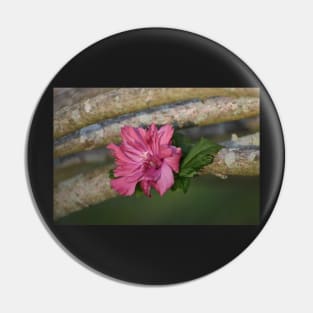 Rose of Sharon Pin