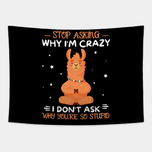 Stop Asking Why I'm Crazy I Don't Ask Why You're Stupid Tapestry
