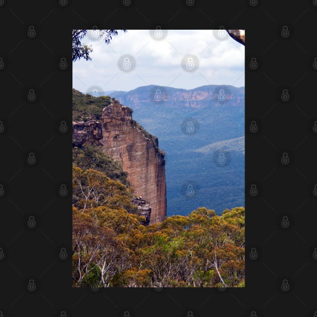 Blue Mountains National Park by DeborahMcGrath