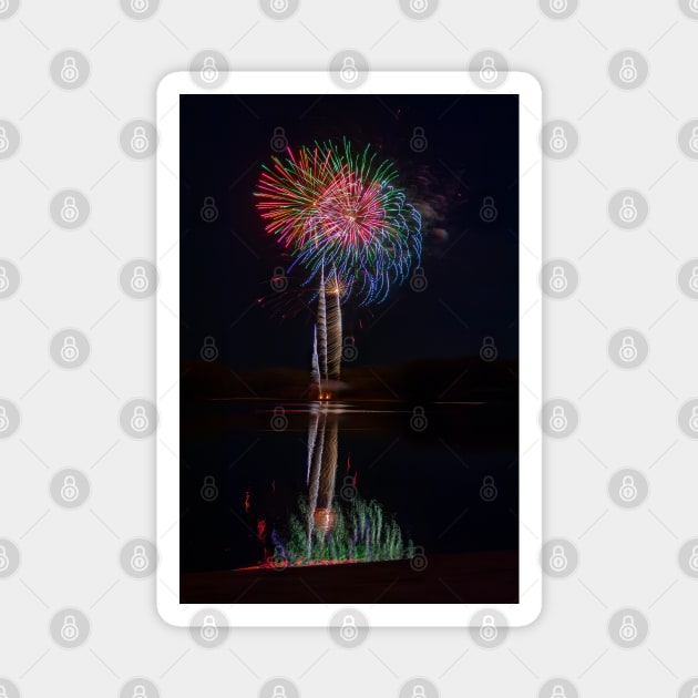 Feathery Fabulous Fireworks and Reflections Magnet by SafariByMarisa