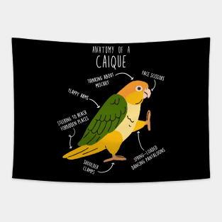 White-bellied Caique Parrot Anatomy Tapestry