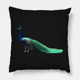 Peacock Pillow