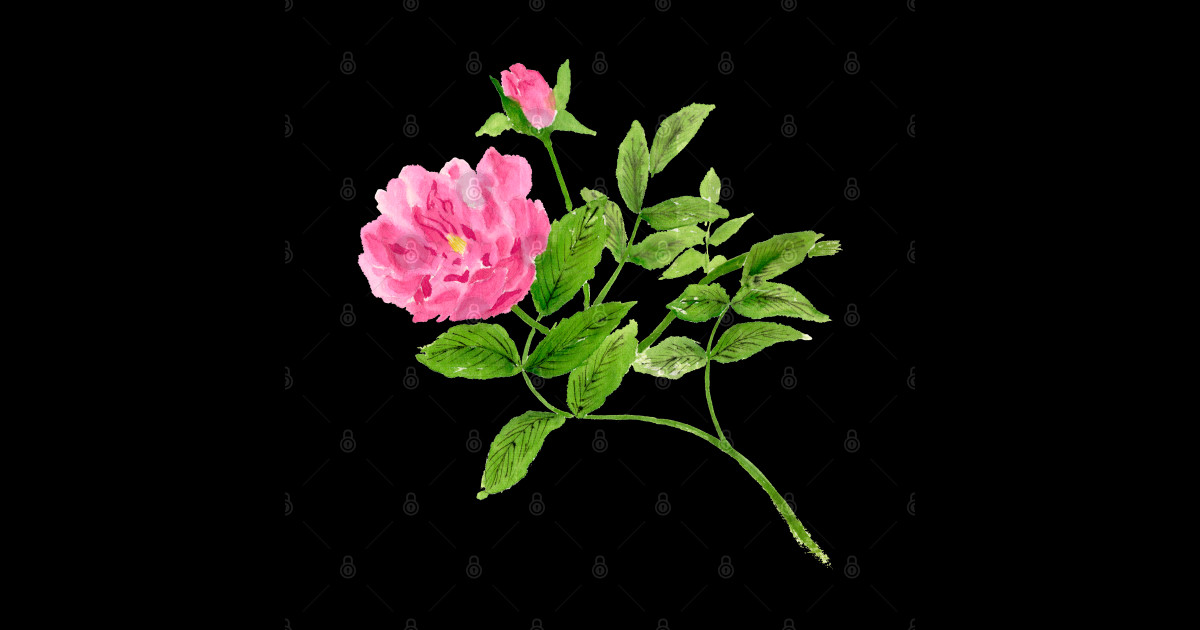 June 4th birthday flower Birthday Sticker TeePublic