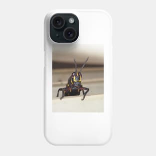 Florida lubber grasshopper Romalea microptera nymph Phone Case