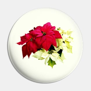 Poinsettias, Red and Yellow Pin