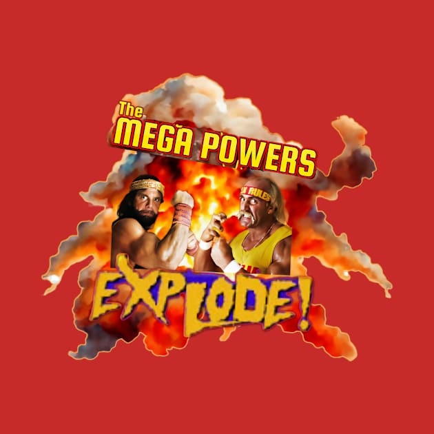 When the Mega Powers Exploded by The Store Name is Available