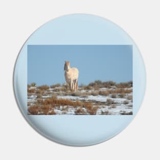 Wild horses, Arizona, nature, wildlife, gifts Pin