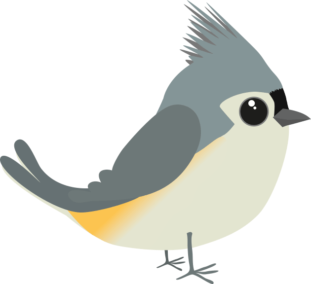 Cute tufted titmouse Kids T-Shirt by Bwiselizzy