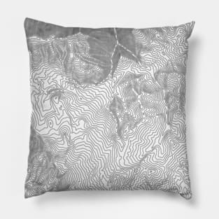 Black n white line Pillow