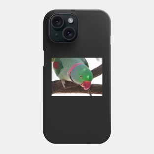 Rose-ringed Parakeet Phone Case