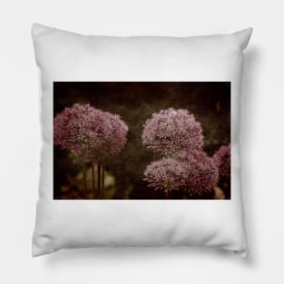 Allium Hollandicum Pillow