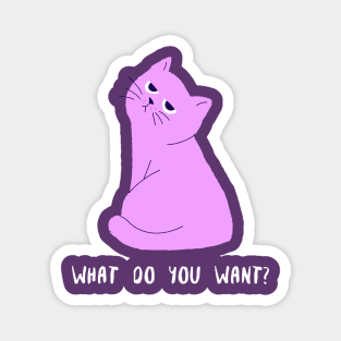 What Do You Want? Magnet