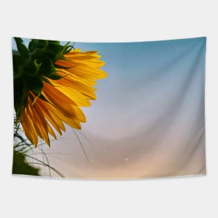 Sunflower and Moon - photograph by Margo Humphries Tapestry