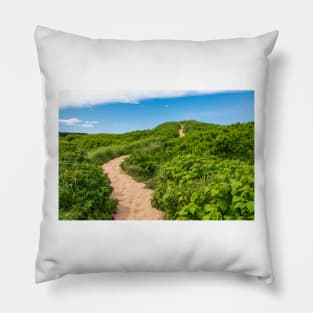 Sand Dunes Pillow