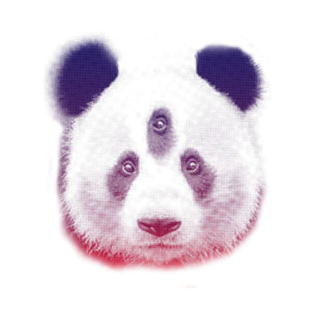 Oso panda FAce by Damian