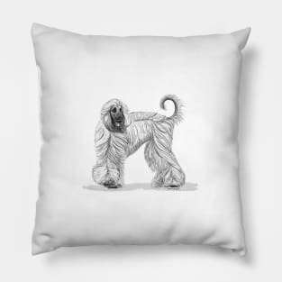 Afghan Hound Pillow