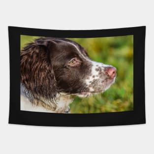 English Springer Tapestry