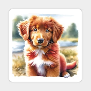 Watercolor Nova Scotia Duck Tolling Retriever Puppies - Cute Puppy Magnet