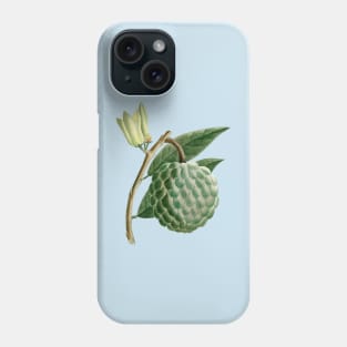 Hand Drawn Custard apple Phone Case