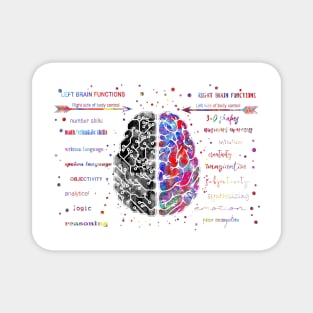 Left and right brain function Magnet