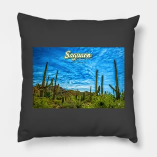 Saguaro National Park Pillow