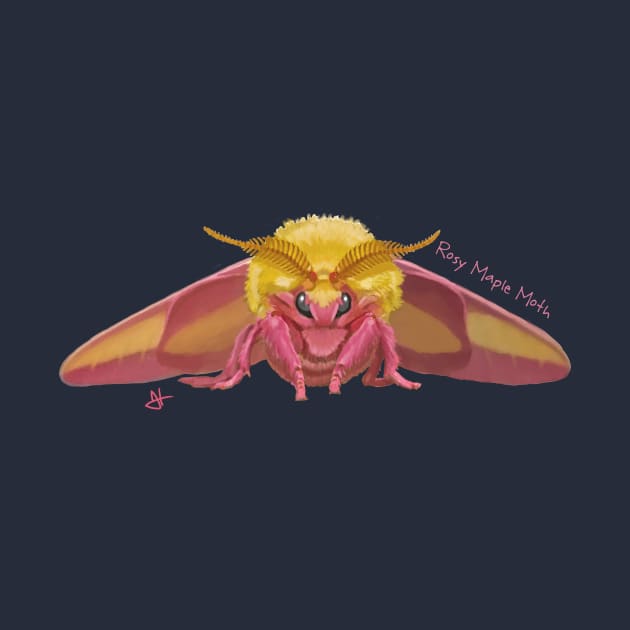 Rosy, the Maple Moth Looking at You by John Himmelman
