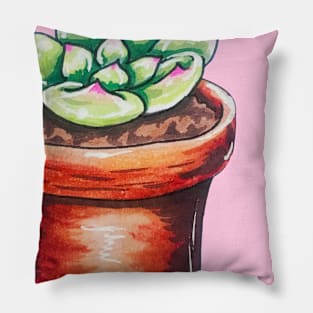 Cute Potted Succulent Pillow