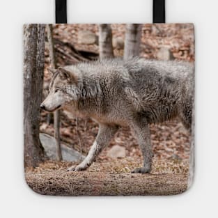 Gray Wolf Tote