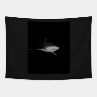 Inquisitive Oceanic White Tip Shark in the Bahamas Tapestry