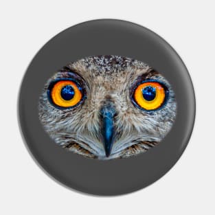 Eyes of an Eagle owl Pin