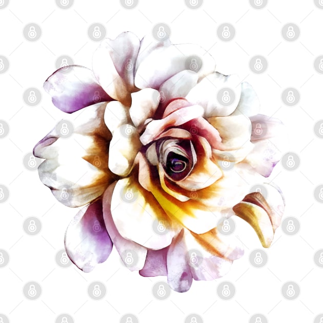 White Rose by CatyArte