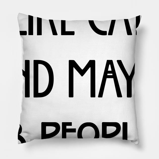 I Like Cats And Maybe 3 People Pillow by amalya