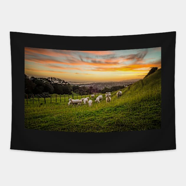 Sheep on One Tree Hill Tapestry by blacksands