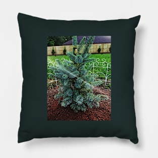 Little Blue Pine Pillow