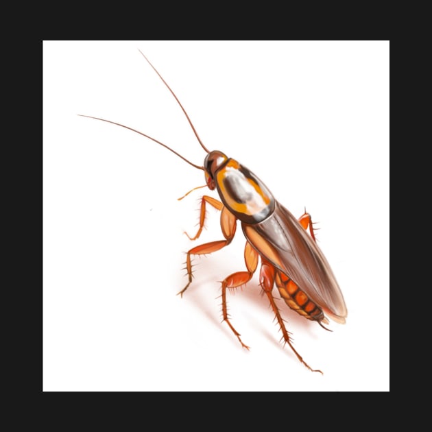 Cockroach by Matross art