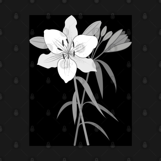 Day Lilies Illustration Monochrome by NataliePaskell