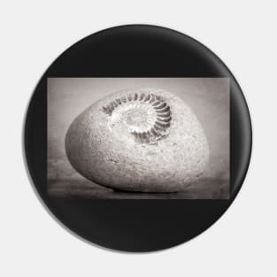 Fossil Pin