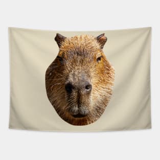Just a Capybara Tapestry