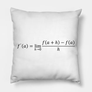 Definition Of Derivative - Math And Calculus Pillow