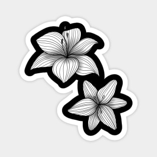 Two lily flowers in black and white Magnet