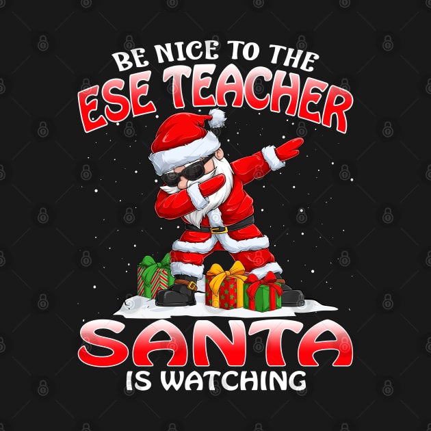 Be Nice To The Ese Teacher Santa is Watching by intelus