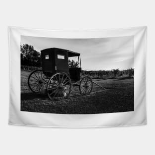 Old Horse Buggy BW 4 Tapestry