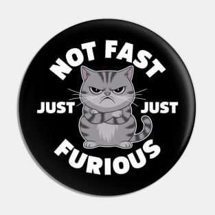 The image features a grumpy-looking cat with the text “NOT FAST JUST FURIOUS” surrounding it (3) Pin