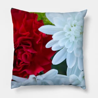 Red and White Pillow