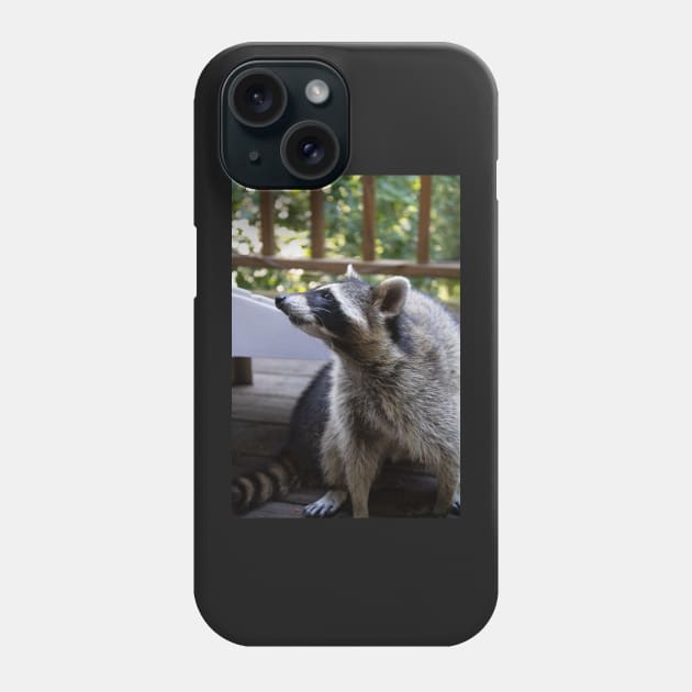 Raccoon Portrait Phone Case by astonishingemma