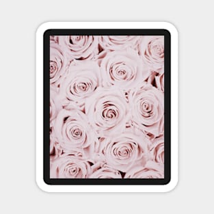 Flowers print, Roses, Pink, Pastel, Fashion print, Scandinavian art, Modern art, Wall art, Print, Minimalistic, Modern Magnet