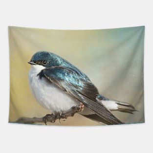 Tree Swallow on Branch 02 Tapestry