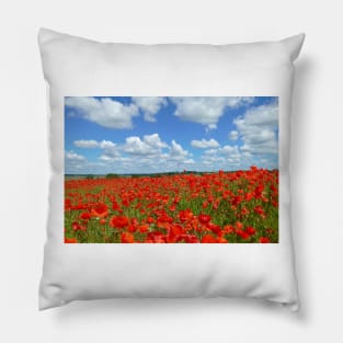 Poppy field Pillow